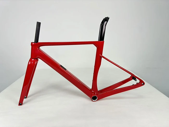 RD301-D road frameset — view 6